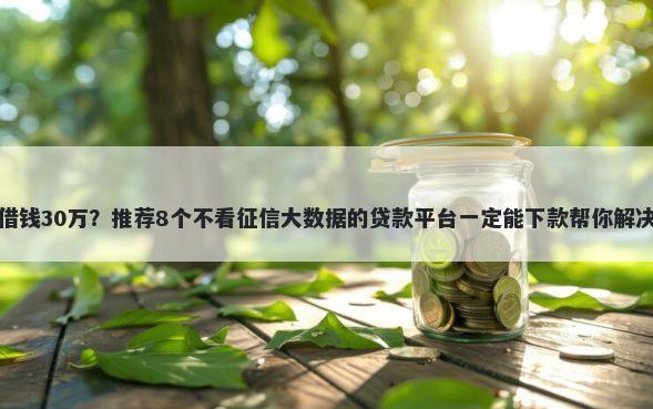 网络平台借钱30万？推荐8个不看征信大数据的贷款平台一定能下款帮你解决资金问题