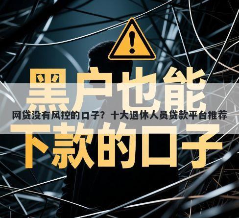 网贷没有风控的口子?十大退休人员贷款平台推荐