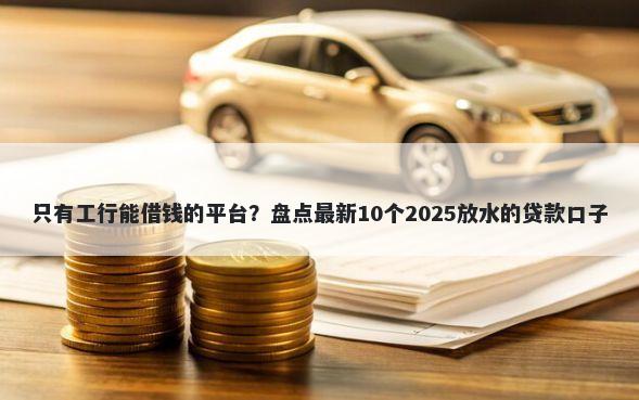 只有工行能借钱的平台?盘点最新10个2025放水的贷款口子