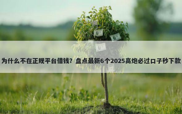为什么不在正规平台借钱？盘点最新6个2025高炮必过口子秒下款