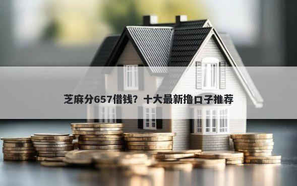 芝麻分657借钱？十大最新撸口子推荐