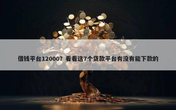 借钱平台12000？看看这7个贷款平台有没有能下款的