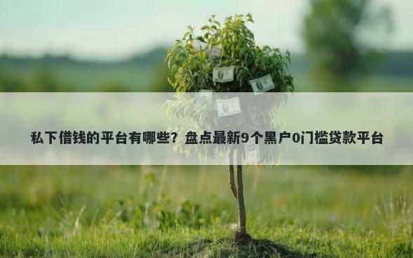 私下借钱的平台有哪些？盘点最新9个黑户0门槛贷款平台