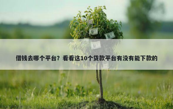 借钱去哪个平台？看看这10个贷款平台有没有能下款的