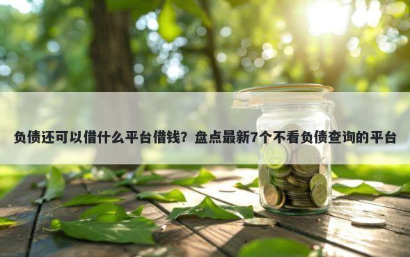负债还可以借什么平台借钱？盘点最新7个不看负债查询的平台
