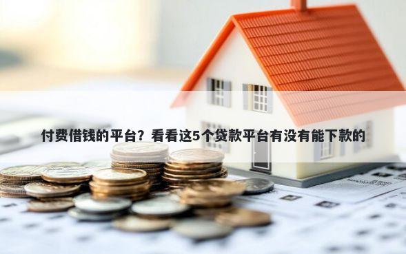 付费借钱的平台?看看这5个贷款平台有没有能下款的