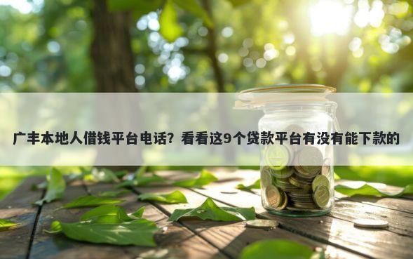 广丰本地人借钱平台电话？看看这9个贷款平台有没有能下款的