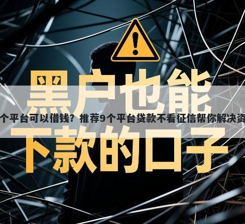 网黑哪个平台可以借钱？推荐9个平台贷款不看征信帮你解决资金问题