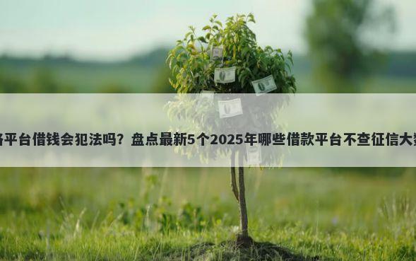 网络平台借钱会犯法吗？盘点最新5个2025年哪些借款平台不查征信大数据