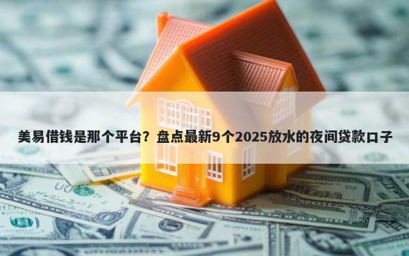 美易借钱是那个平台？盘点最新9个2025放水的夜间贷款口子