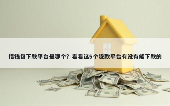 借钱包下款平台是哪个？看看这5个贷款平台有没有能下款的