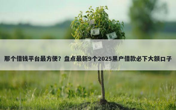 那个借钱平台最方便？盘点最新9个2025黑户借款必下大额口子