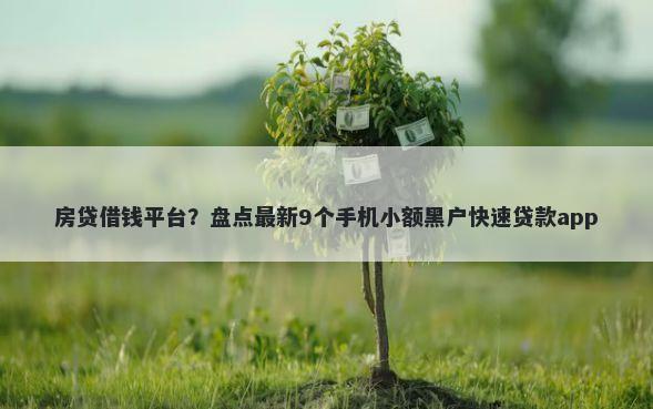 房贷借钱平台？盘点最新9个手机小额黑户快速贷款app