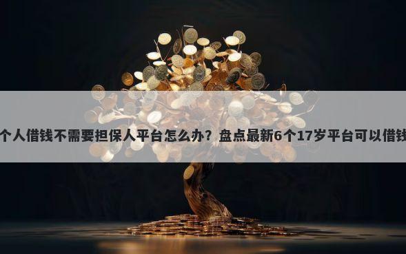 个人借钱不需要担保人平台怎么办?盘点最新6个17岁平台可以借钱