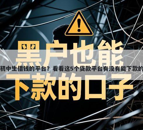 初中生借钱的平台？看看这5个贷款平台有没有能下款的