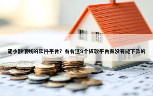 能小额借钱的软件平台？看看这9个贷款平台有没有能下款的