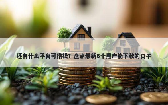 还有什么平台可借钱?盘点最新6个黑户能下款的口子