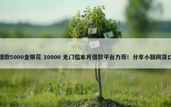 不看综合评分的小额借款5000金银花 10000 无门槛本月借款平台力荐！分享小额网贷口子10000无门槛借款