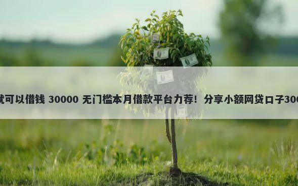 什么平台开通就可以借钱 30000 无门槛本月借款平台力荐！分享小额网贷口子30000无门槛借款
