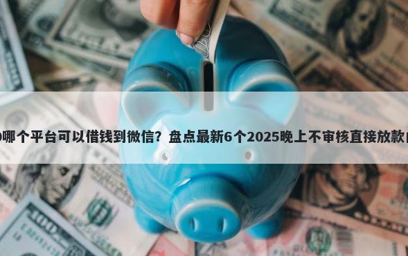 360哪个平台可以借钱到微信？盘点最新6个2025晚上不审核直接放款口子