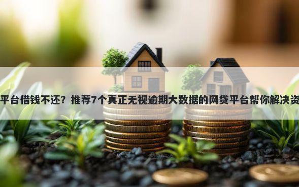 整个村平台借钱不还？推荐7个真正无视逾期大数据的网贷平台帮你解决资金问题
