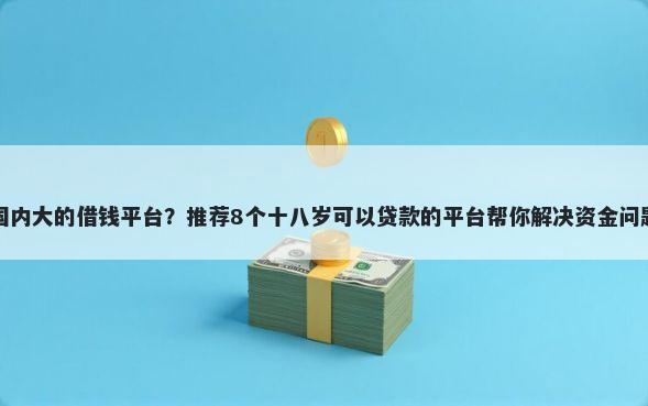 国内大的借钱平台？推荐8个十八岁可以贷款的平台帮你解决资金问题