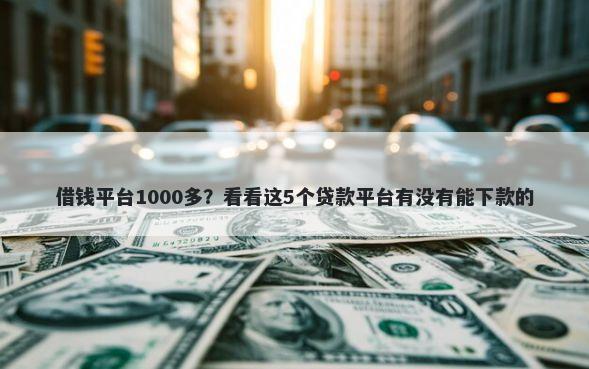 借钱平台1000多？看看这5个贷款平台有没有能下款的