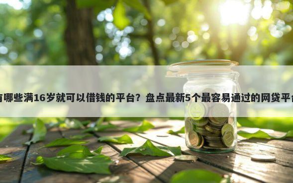 有哪些满16岁就可以借钱的平台？盘点最新5个最容易通过的网贷平台