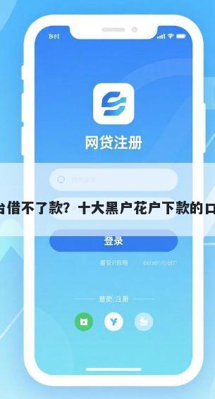 各大借钱平台借不了款？十大黑户花户下款的口子2025推荐