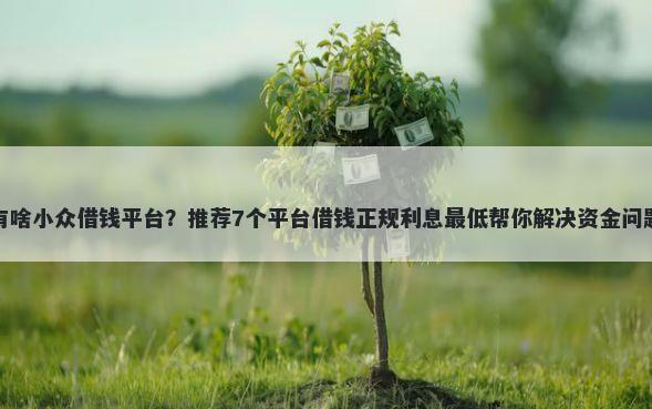 有啥小众借钱平台?推荐7个平台借钱正规利息最低帮你解决资金问题