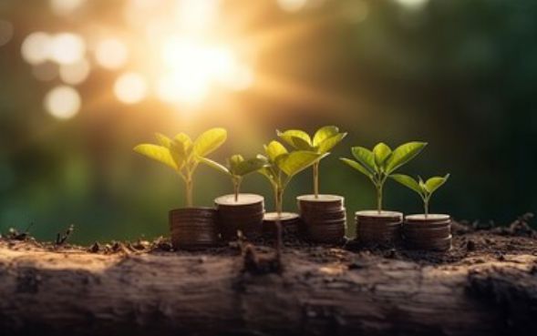 在线快速贷款展示这五个!2025年探讨小额借钱不看能否抵扣